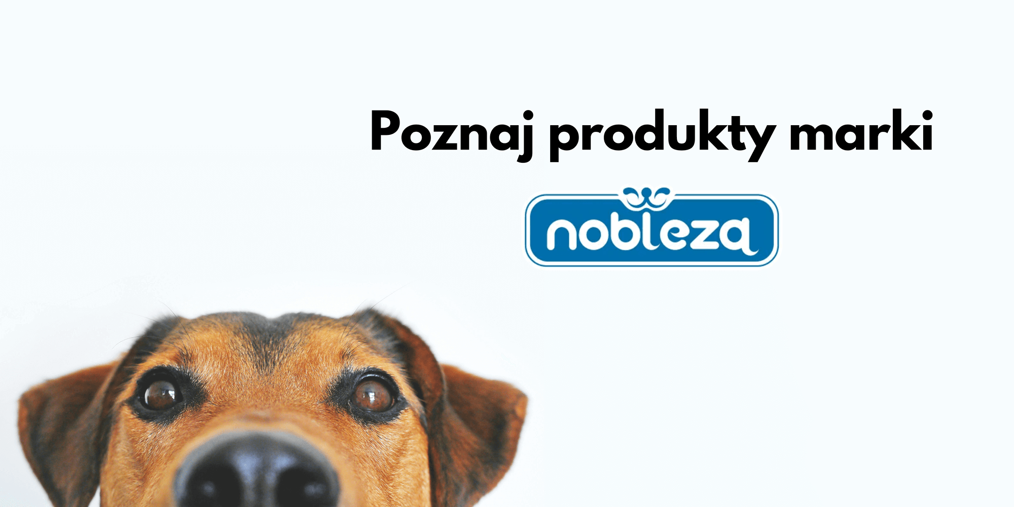 Nobleza