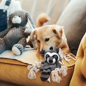 Pluszowa zabawka dla psa z dźwiękiem - szop 36cm