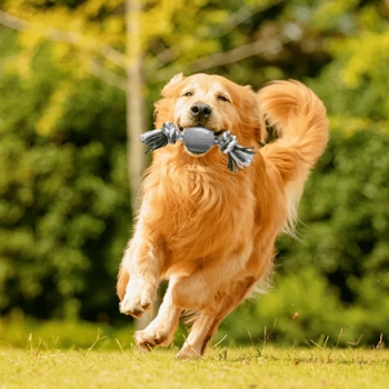 Zabawka z bawełnianego sznura z piłką z TPR dla psa